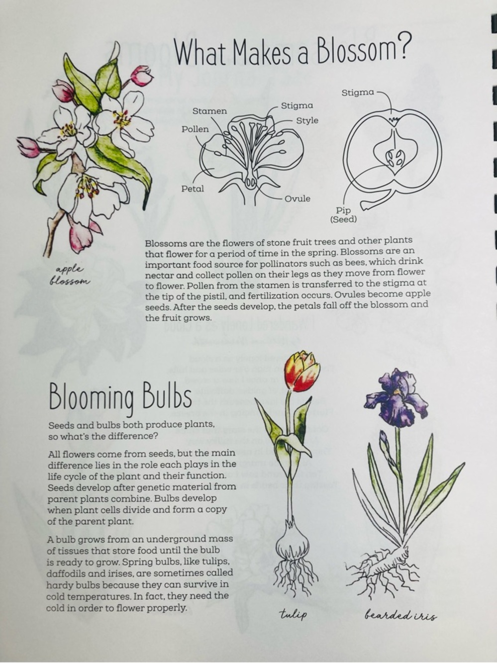 NEW The Seasons Nature Journal The Wild Child’s … 2021 Natalie McCatty - Picture 9 of 14